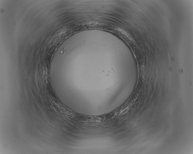 X0000075861111200610151628