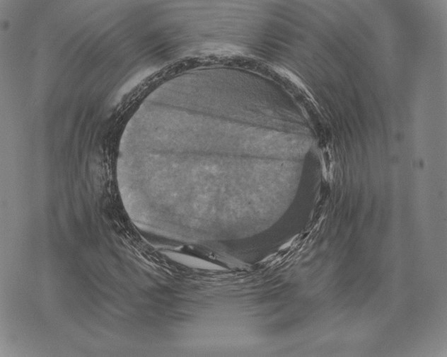 X0000075861112200610151628