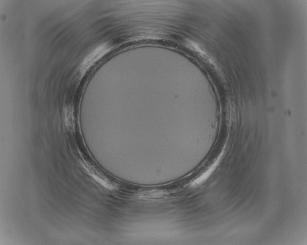 X0000075861113200610151628