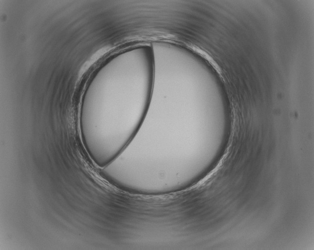 X0000075861114200610151628