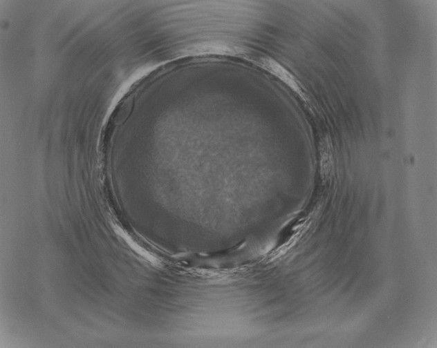 X0000075861116200610151628