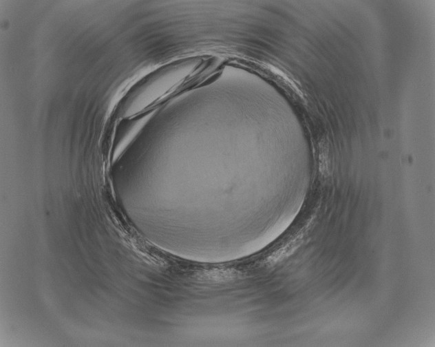 X0000075861117200610151628