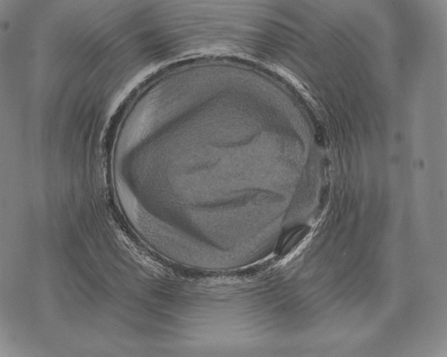 X0000075861118200610151628