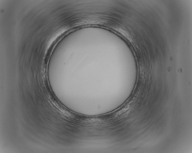 X0000075861119200610151628