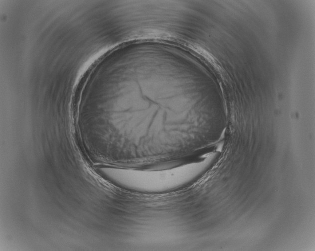 X0000075861120200610151628