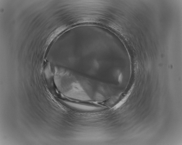 X0000075861121200610151628