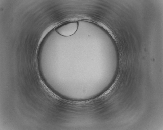 X0000075861122200610151628