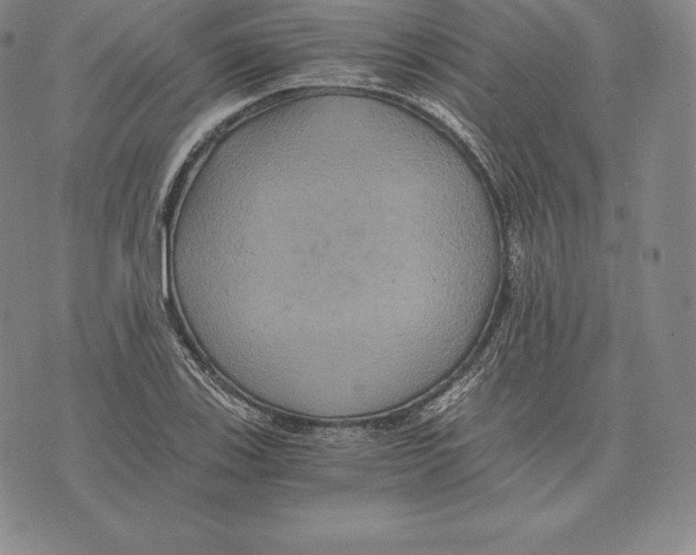 X0000075861123200610151628