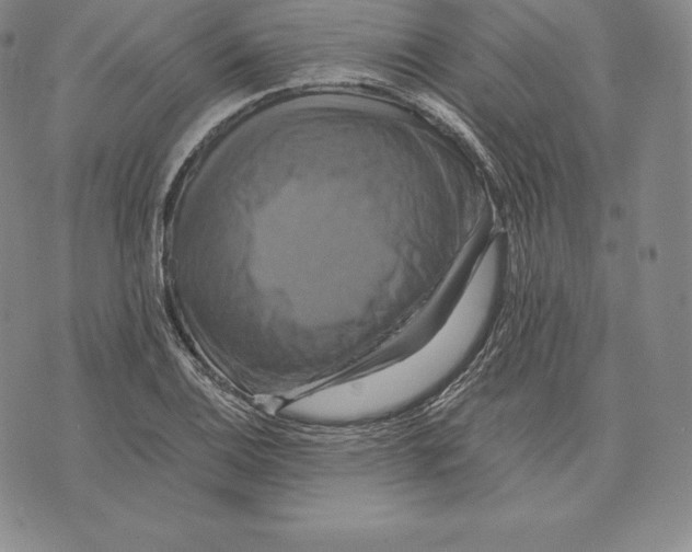 X0000075861124200610151628