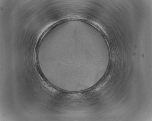 X0000075861125200610151628