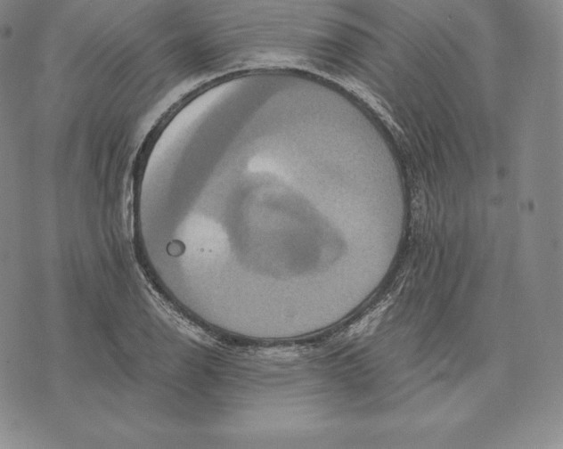 X0000075861126200610151628