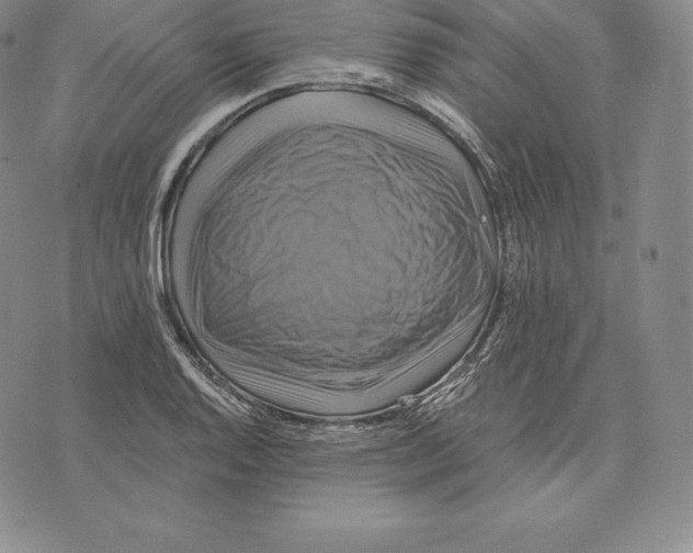 X0000075861128200610151628