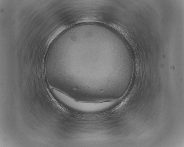 X0000075861129200610151628