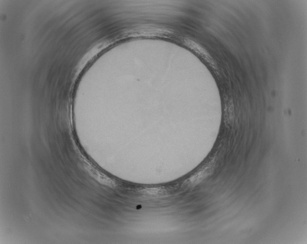 X0000075861130200610151628