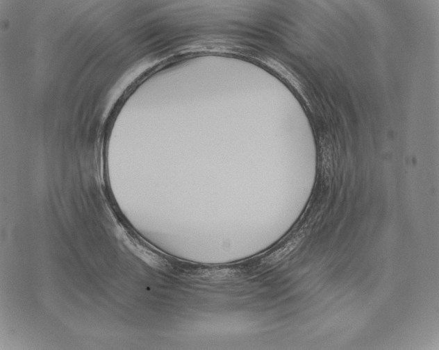 X0000075861131200610151628