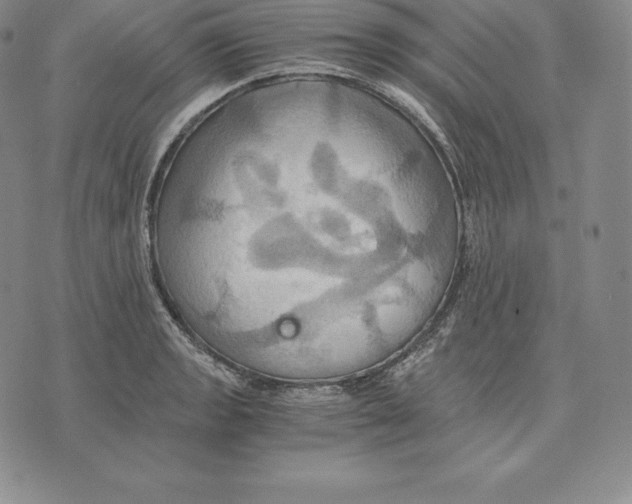 X0000075861133200610151628