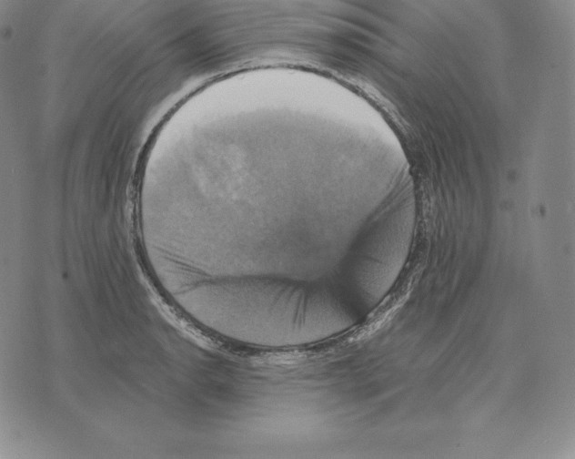 X0000075861134200610151628