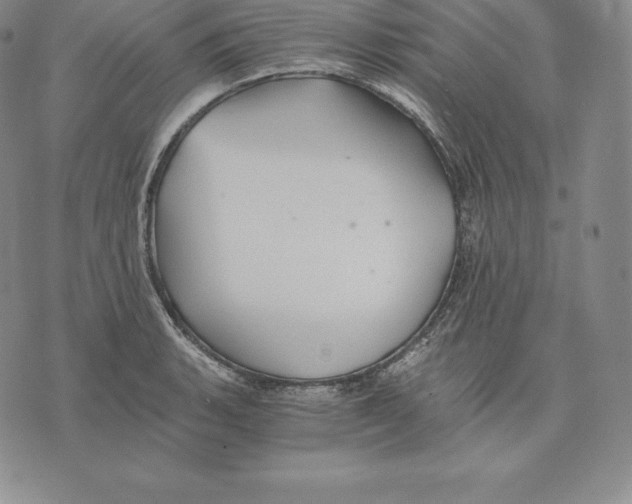 X0000075861135200610151628