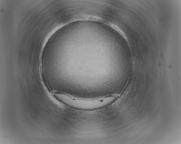 X0000075861136200610151629