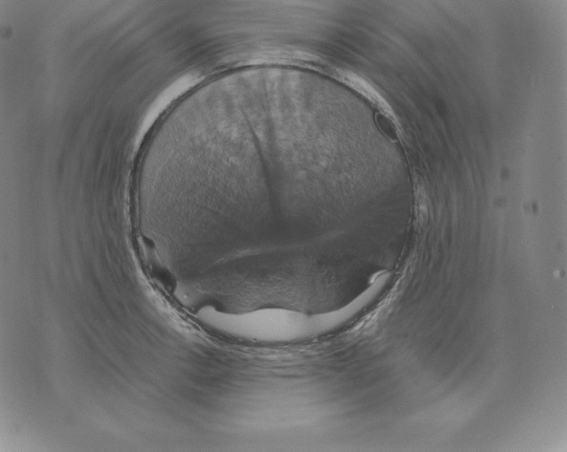 X0000075861138200610151629