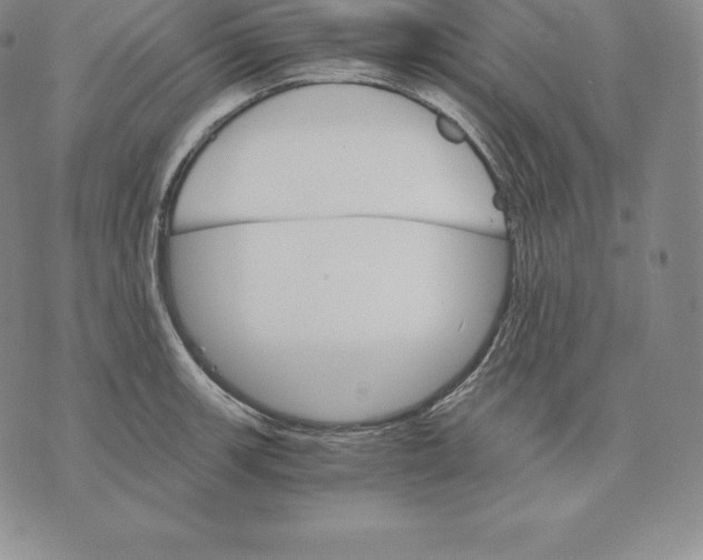 X0000075861139200610151629