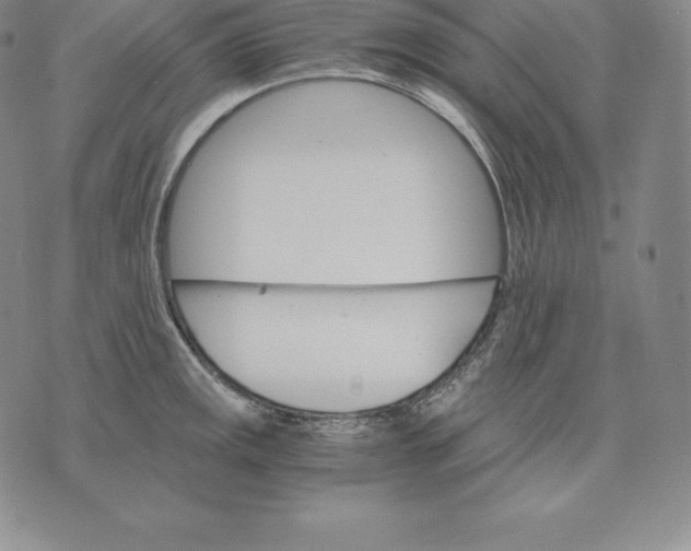 X0000075861141200610151629