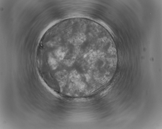 X0000075861142200610151629