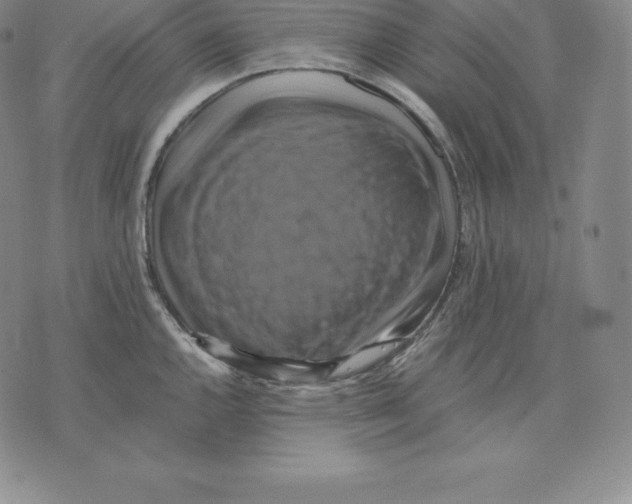 X0000075861144200610151629