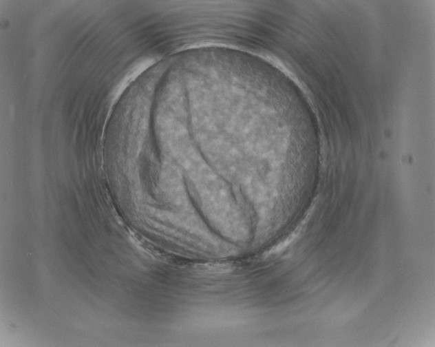 X0000075861145200610151629