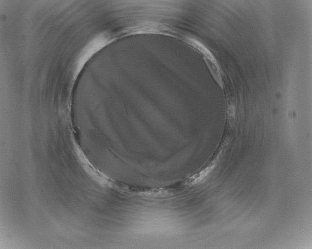 X0000075861146200610151629