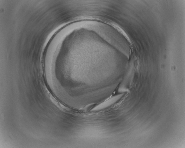 X0000075861148200610151629