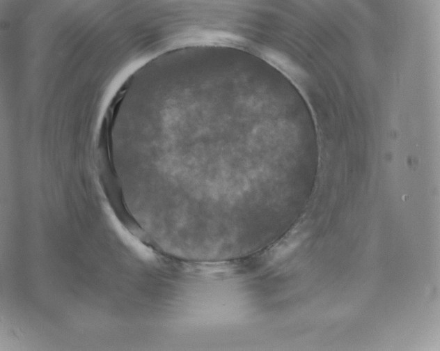 X0000075861152200610151629