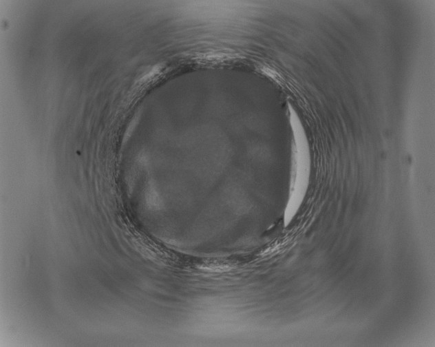 X0000075861153200610151628