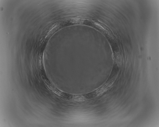 X0000075861154200610151628