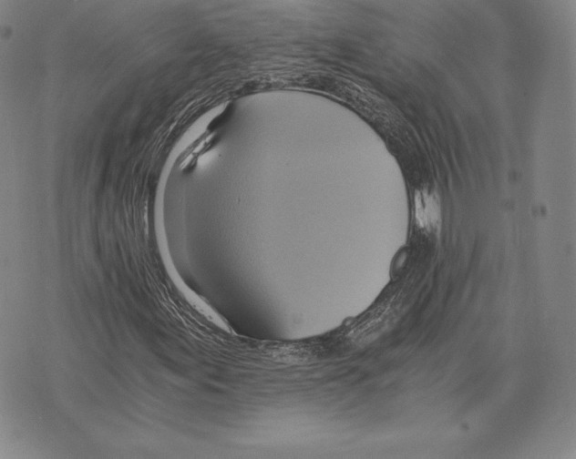 X0000075861155200610151628