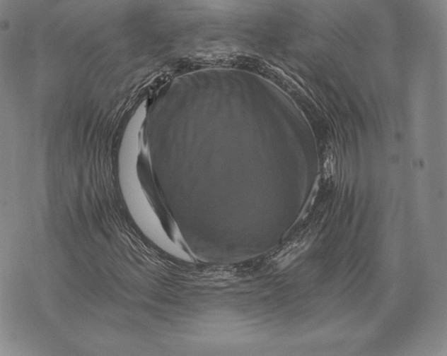 X0000075861156200610151628