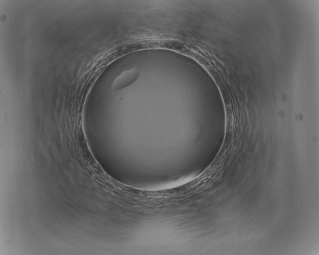 X0000075861157200610151628