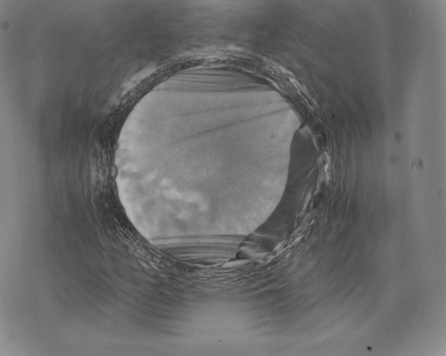 X0000075861158200610151628