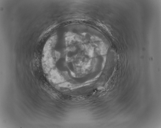 X0000075861159200610151628