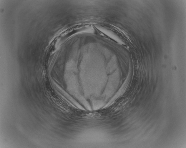 X0000075861160200610151628