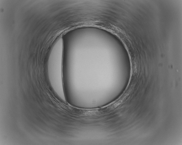 X0000075861161200610151628