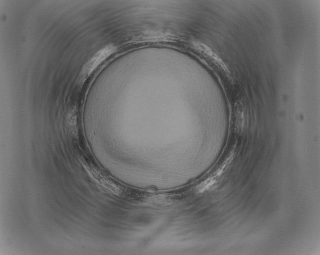 X0000075861162200610151628