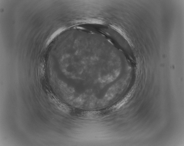 X0000075861163200610151628