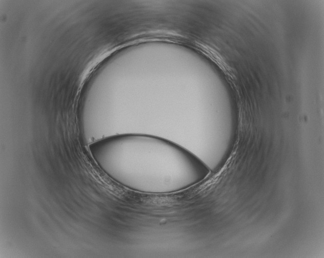 X0000075861164200610151628