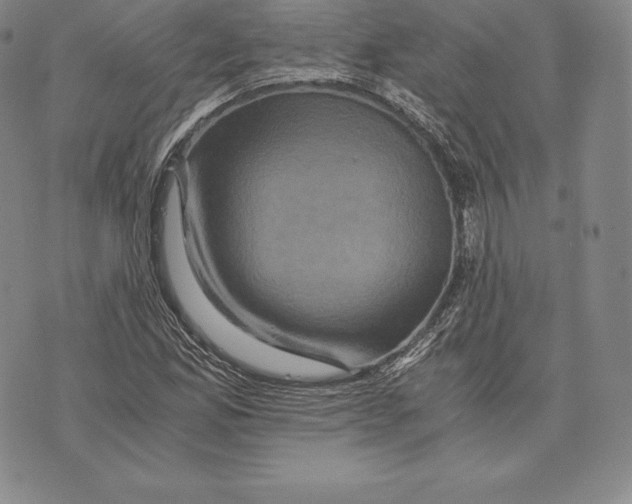 X0000075861165200610151628