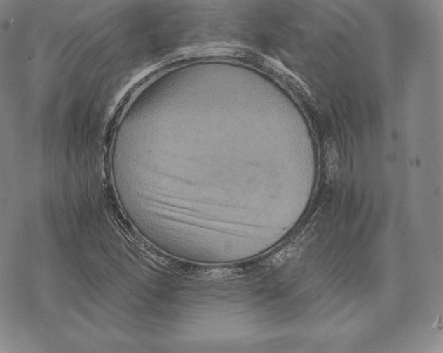 X0000075861166200610151628