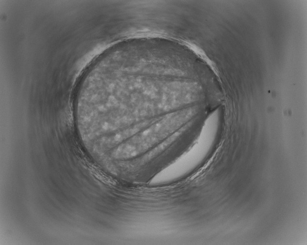 X0000075861167200610151628