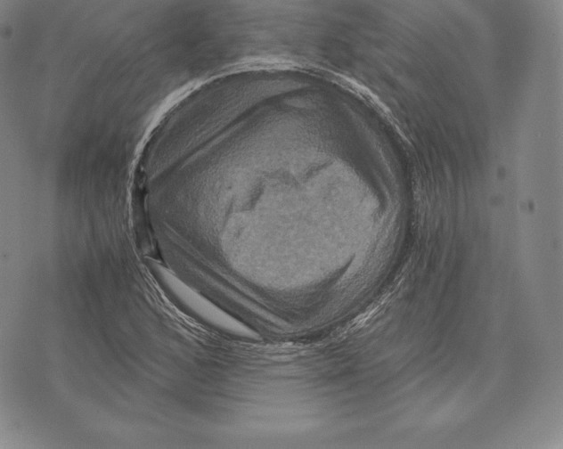 X0000075861168200610151628