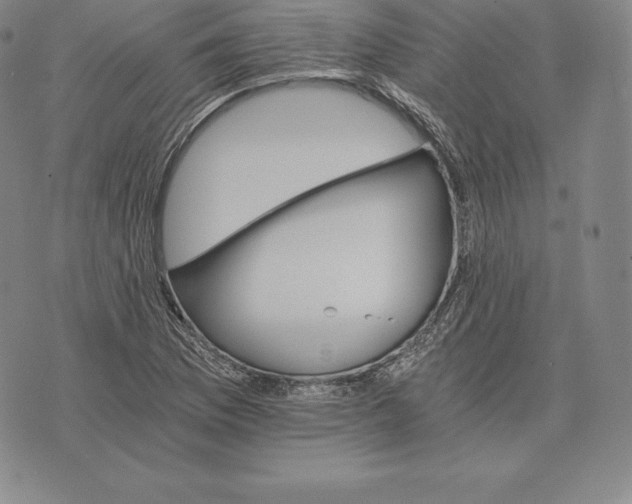 X0000075861169200610151628