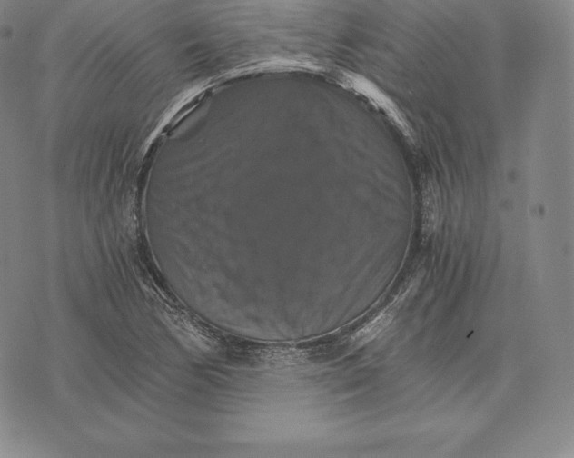 X0000075861170200610151628